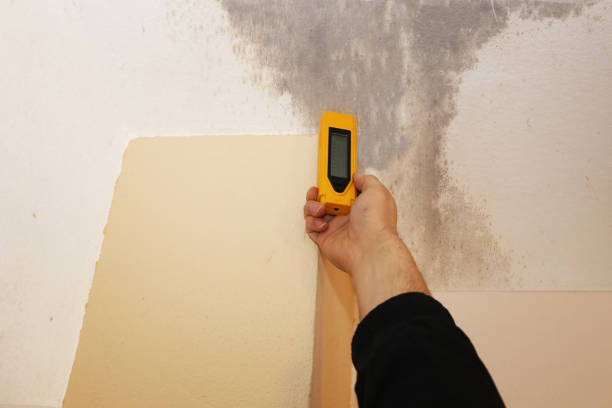 Best Biohazard Mold Removal  in Villa Hills, KY