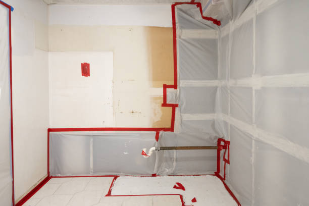 Asbestos and Lead Testing During Mold Inspection in Villa Hills, KY