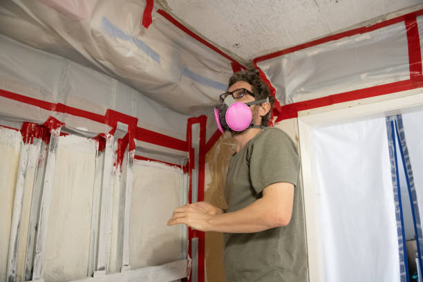 Best Post-Construction Mold Inspection  in Villa Hills, KY
