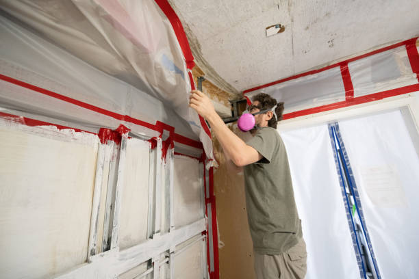 Best Asbestos and Lead Testing During Mold Inspection  in Villa Hills, KY