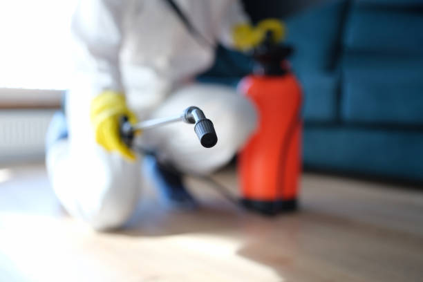 Best Airborne Mold Testing  in Villa Hills, KY