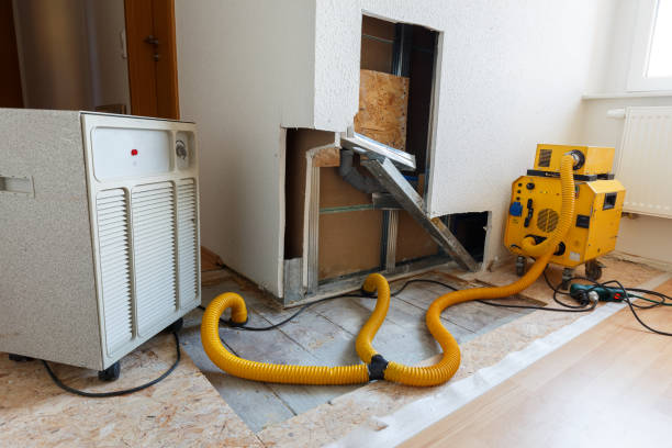 Best Indoor Air Quality Assessment  in Villa Hills, KY