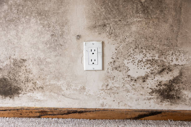 Best Residential Mold Inspection & Testing  in Villa Hills, KY